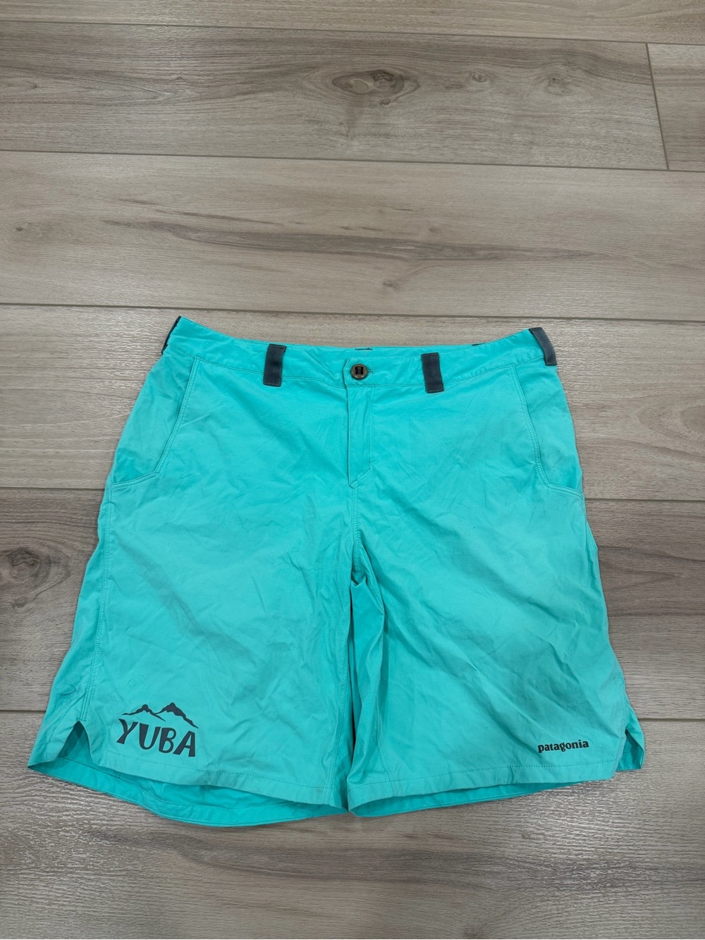 Patagonia Women's Size L Turquoise Trail Hiking Shorts Yuba Logo Teal Fast Dry
